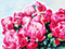 animated flowers background