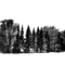 dark forest - nemokama png animuotas GIF