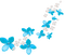Flowers.White.Blue - zadarmo png animovaný GIF