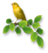 birds katrin - PNG gratuit GIF animé