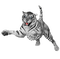 White Tiger - Free PNG Animated GIF