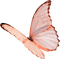 Kaz_Creations Deco Butterflies Butterfly   Colours - kostenlos png Animiertes GIF
