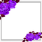 purple milla1959 - bezmaksas png animēts GIF