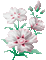 Y.A.M._Summer flowers - Бесплатни анимирани ГИФ анимирани ГИФ