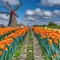 Spring Windmill Background - бесплатно png анимированный гифка