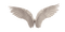 wings - PNG gratuit GIF animé