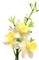 Fleurs.Flowers.yellow.Jonquils.Victoriabea - zadarmo png animovaný GIF