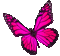 Animated.Butterfly.Pink - By KittyKatLuv65