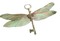 dragonfly key - ingyenes png animált GIF