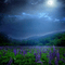 Y.A.M._Night Landscape background - png gratis GIF animado