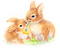 soave easter deco animals bunny spring  vintage - 免费PNG 动画 GIF