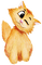 Zwinker Katze - GIF animé gratuit