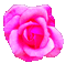 trandafir - Bezmaksas animēts GIF animēts GIF