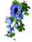 Animated.Flowers.Blue - By KittyKatLuv65 - Bezmaksas animēts GIF animēts GIF