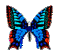 Multi-Colored Butterfly - GIF animé gratuit GIF animé