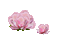 Flowers - Bezmaksas animēts GIF animēts GIF