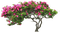 Kaz_Creations Tree Flowers - gratis png geanimeerde GIF