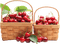 fruit cherries bp - bezmaksas png animēts GIF