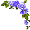 Animated.Roses.Blue - By KittyKatLuv65 - Ingyenes animált GIF animált GIF