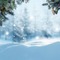 Winter Background - zadarmo png animovaný GIF