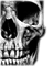 skull - besplatni png animirani GIF