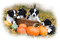 fond autumn automne - безплатен png анимиран GIF
