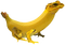 banana frog