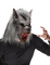 lobo by EstrellaCristal - Free PNG Animated GIF