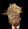 trump flinig hair - Free animated GIF Animated GIF