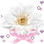flower - 免费动画 GIF 动画 GIF