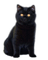 Rena black Cat Katze schwarz - zadarmo png animovaný GIF