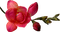 flor - ilmainen png animoitu GIF