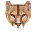 mountain lion bp - Free PNG Animated GIF