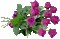 Flowers purple rose bp - GIF animé gratuit GIF animé