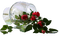 rose rouge.Cheyenne63 - nemokama png animuotas GIF