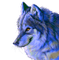 blue wolf - GIF animado grátis