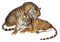 tigres ( - bezmaksas png animēts GIF