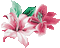 Y.A.M._Summer flowers - Бесплатный анимированный гифка анимированный гифка