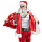 Santa Claus Christmas - Bogusia - gratis png animeret GIF