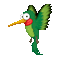 Oiseaux Colibri Vert:) - Darmowy animowany GIF animowany gif