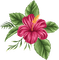 Tropical Flower - Bogusia - png gratuito GIF animata