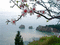 paisagem - Gratis geanimeerde GIF geanimeerde GIF
