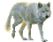 loup blanc - GIF animate gratis GIF animata