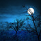 Full moon night background - PNG gratuit GIF animé