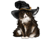 Chat sorcière - darmowe png animowany gif