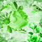 animated background green milla1959 - Бесплатный анимированный гифка анимированный гифка