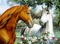 fond créa chevaux - PNG gratuit GIF animé