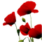 flowers - δωρεάν png κινούμενο GIF