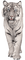 Kaz_Creations Animals Tiger - безплатен png анимиран GIF