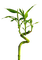 Branche - Free PNG Animated GIF